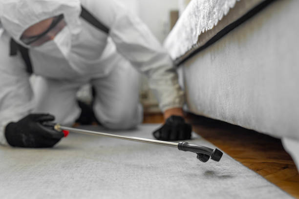 Professional Cockroach Control technician working in Port Byron, IL