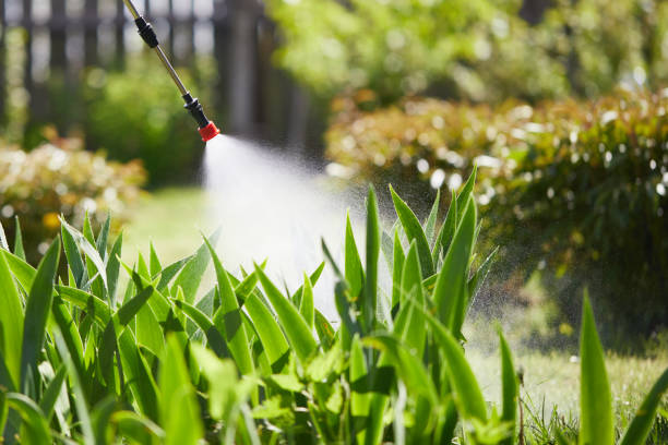 24/7 Emergency Cockroach Control experts in Port Byron, IL