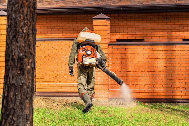 Top rated local Cockroach Control specialists in Port Byron, IL